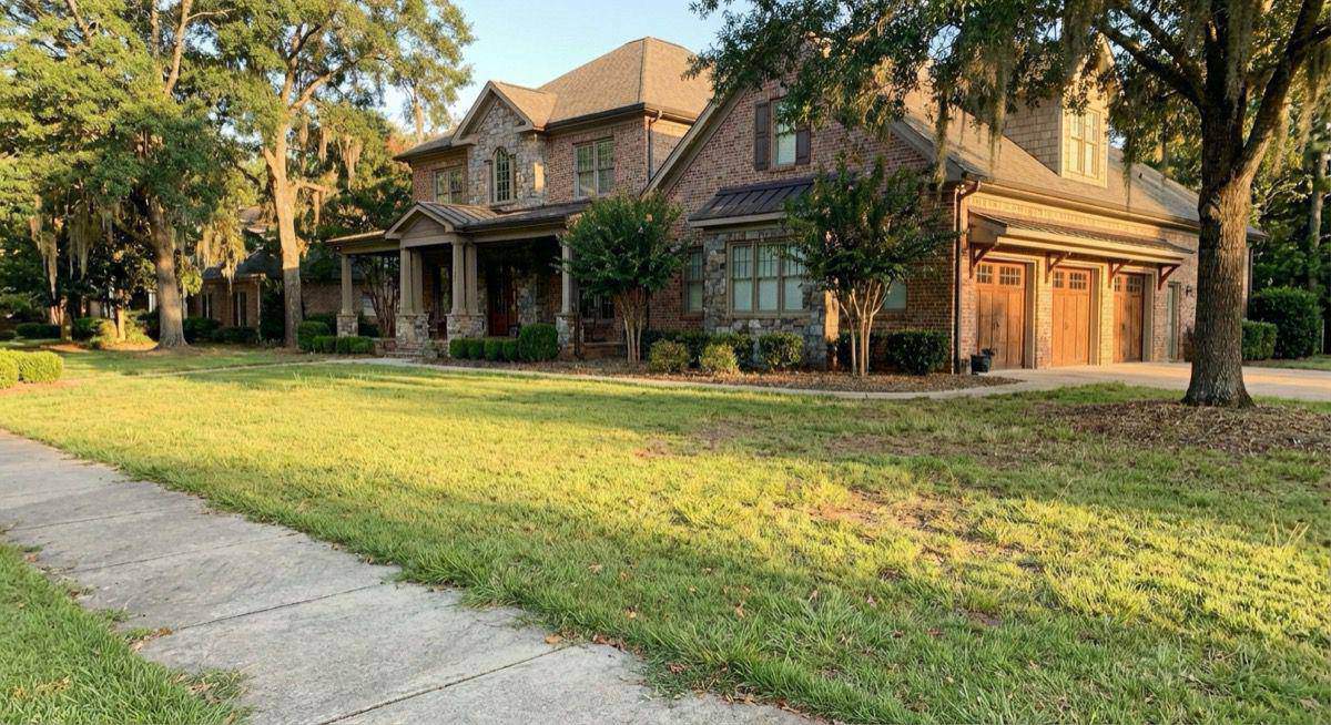 Lawn before treatment — thin, patchy grass with visible weeds